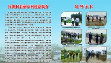 美好乡村展板