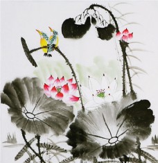 写意荷花图片免费下载,写意荷花设计素材大全,写意,-.