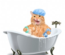 有趣的猫咪图片免费下载,有趣的猫咪设计素材大全,有趣的猫咪模板下载