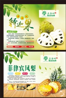 POP海报广告菠萝凤梨释迦果番荔枝广告海报