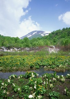 山峦景观