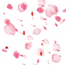 桃花花瓣节日鲜花飘落装饰粉红素