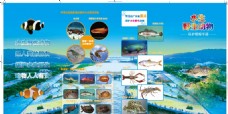 野生动物野生水生动物保护手册
