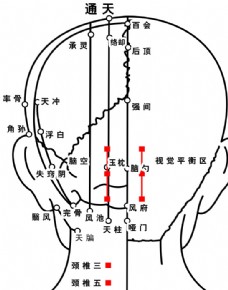 後腦勺頭部的穴位圖