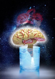 大脑培养生命技术科学研究