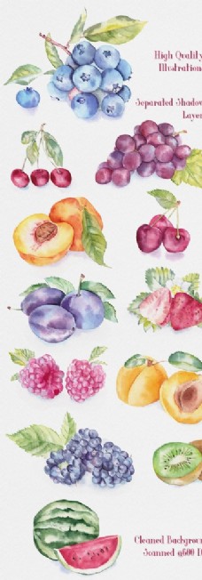 樱桃展架手绘水果水彩水果插画水果