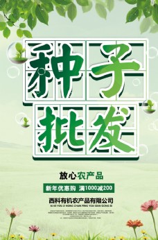 绿色蔬菜种子海报