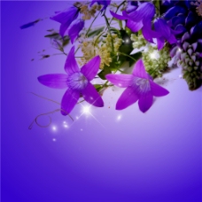 紫色花朵吊顶图案