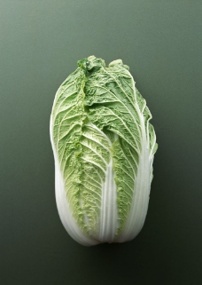 绿色蔬菜大白菜摄影图片