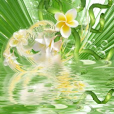 绿色植物装饰画