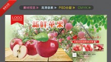 苹果海报水果海报