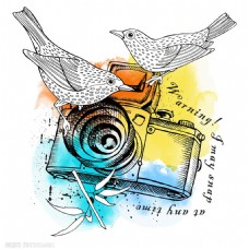 彩色相机和小鸟图片