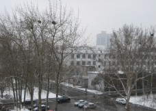 山东大学中心校区雪景