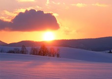 冬天雪景摄影图片
