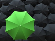 绿色雨伞与黑色雨伞图片