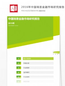 2016年中国场景金融市场研究报告规范格式