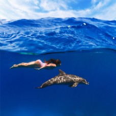 海豚世界美丽海底世界与海豚图片