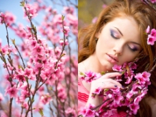 鲜花摄影春天桃花与美女图片