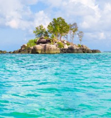 树木海水与岛屿图片