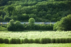 度假田园火车风景图片