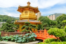 香港风景香港南莲园池风景图片