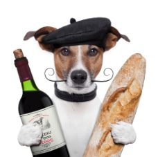 抱着红酒面包的小狗图片