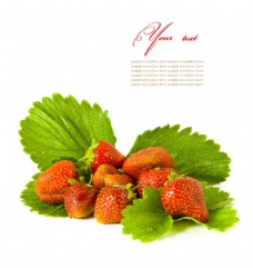 新鲜的草莓图片