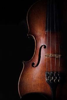 黑色背景下的小提琴图片