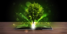 摊开的书本上的绿树图片