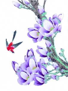 紫色艺术字紫色花卉与鸟图片