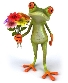 其他生物拿着鲜花的3D青蛙图片