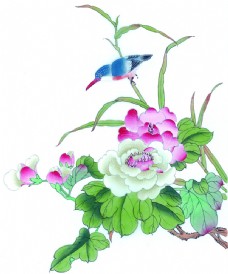 国画牡丹牡丹花卉植物国画图片