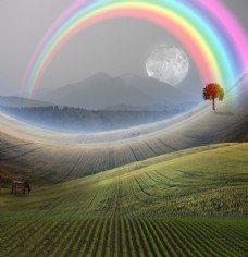 田野里的彩虹图片