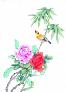 国画牡丹牡丹竹子鸟类国画图片