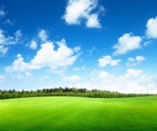 蓝天白云下的大草原图片