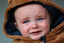 哭泣的熊宝宝