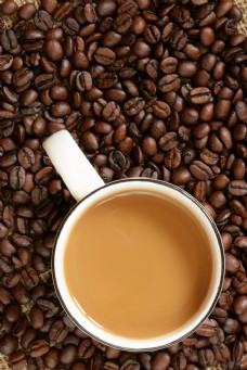咖啡杯咖啡豆上的咖啡图片