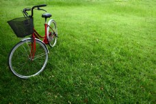 草地上有篮子的自行车图片