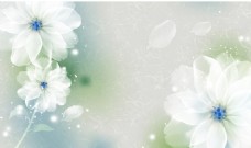 高清手绘透明梦幻水晶白色花