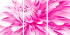 粉色花朵拼接装饰画