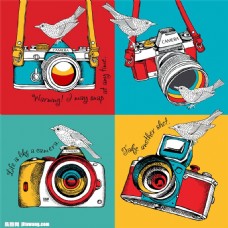 彩色相机和小鸟图片1