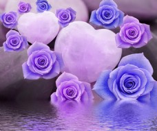 紫色玫瑰装饰背景墙