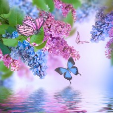 树木美丽的蝴蝶与花朵图片