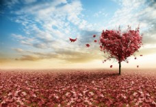 红色的枫叶和心形树木图片