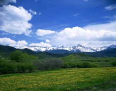 雪山春天自然风景图片