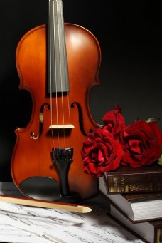 书本小提琴花朵图片