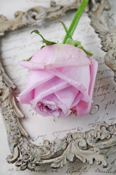 复古英文笔记与玫瑰图片