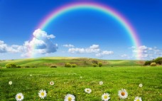 大自然草地上的七色彩虹高清摄影