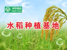 蓝色背景水稻种植基地海报