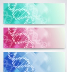 展板DNA科技